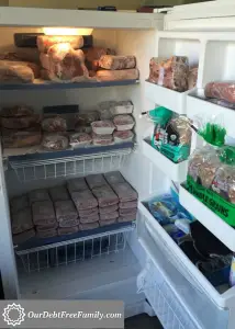 Beef in Freezer