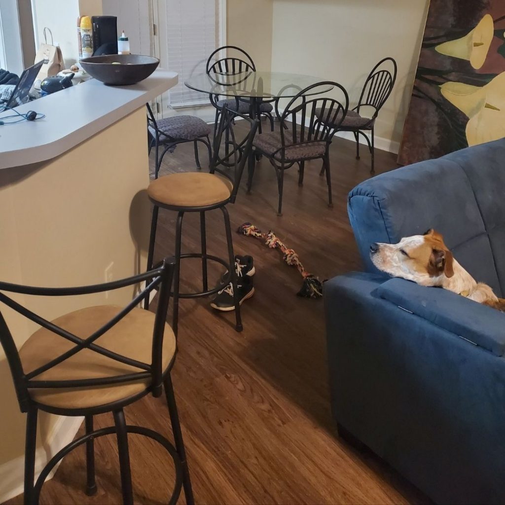 <p>Amazon has some great buys as far as mattresses go. We grabbed our 10" mattress for about $300. My grandmother had a box spring she did not need that we got for free. We also got a side table for the bedroom for free. The living room furniture took some more digging. We spent $300 on a futon and ottoman for the living space and used our old coffee table, TV stand, and television.</p>::Pexels
