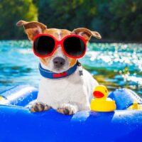 Summer Spending Plan