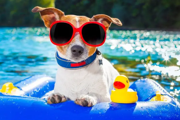 Now Is The Time To Prepare A Summer Spending Plan