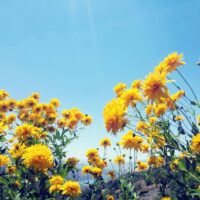 Springtime financial planning