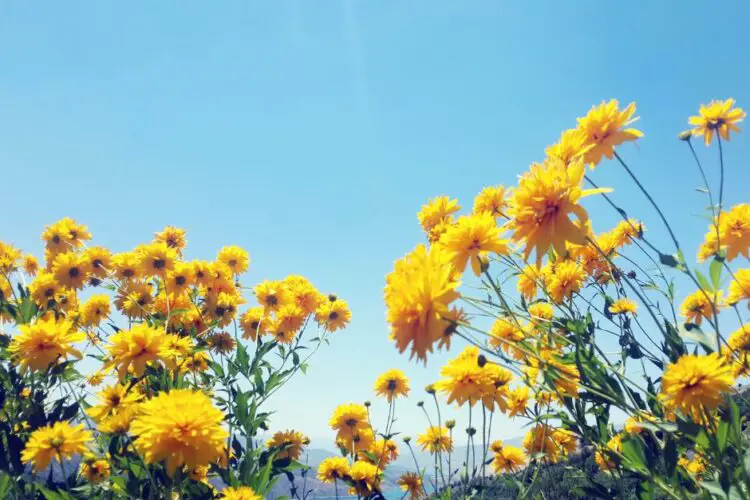 Putting the Spirit of Springtime Into Your Financial Planning