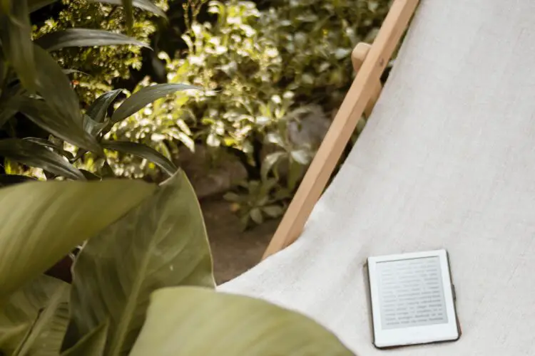 Reading on a Budget? Learn Where to Find Novels Online Free