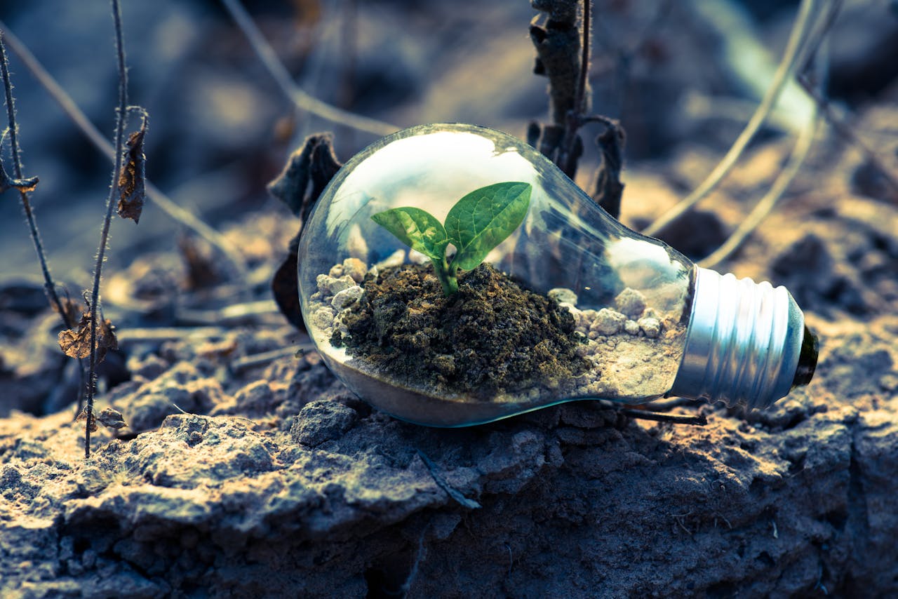 <p> One of the main advantages of EVs is their reduced environmental impact. However, if policies like the 85% charge limit discourage people from adopting EVs, the environmental benefits could be diminished. Encouraging the use of electric vehicles is crucial for reducing greenhouse gas emissions and combating climate change. </p>:: Pexels