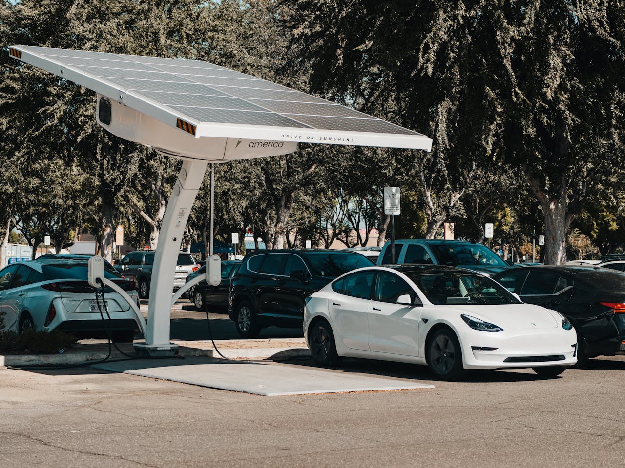<p>The electric vehicle market has seen remarkable growth and transformation over the past decade. Here are 12 key insights into how the market share of electric vehicles has evolved.</p> ::Pexels