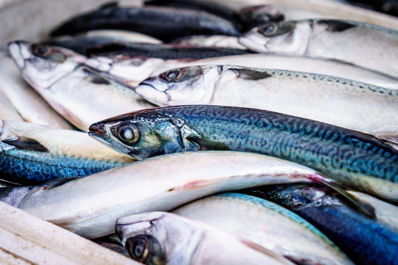 <p>Seafood exports, such as shrimp and fish, from Colombia to the U.S. are valued at approximately $100 million annually. In 2024, this figure remained steady, with a focus on high-quality and sustainably sourced seafood. </p> ::Pexels