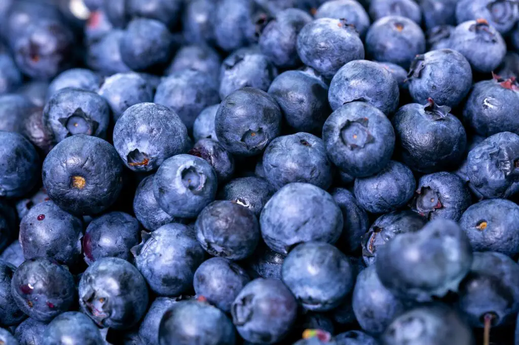 <p> Blueberries are packed with antioxidants, including anthocyanins, which help fight free radicals and reduce signs of aging. They are also high in vitamin C, which supports collagen production and helps maintain a firm, youthful appearance. Blueberries can protect the skin from environmental damage caused by UV rays and pollution. Enjoy them as a snack, blend them into smoothies, or sprinkle them over yogurt and oatmeal. You can also make a refreshing blueberry-infused water for a hydrating skin boost. </p> :: Pexels