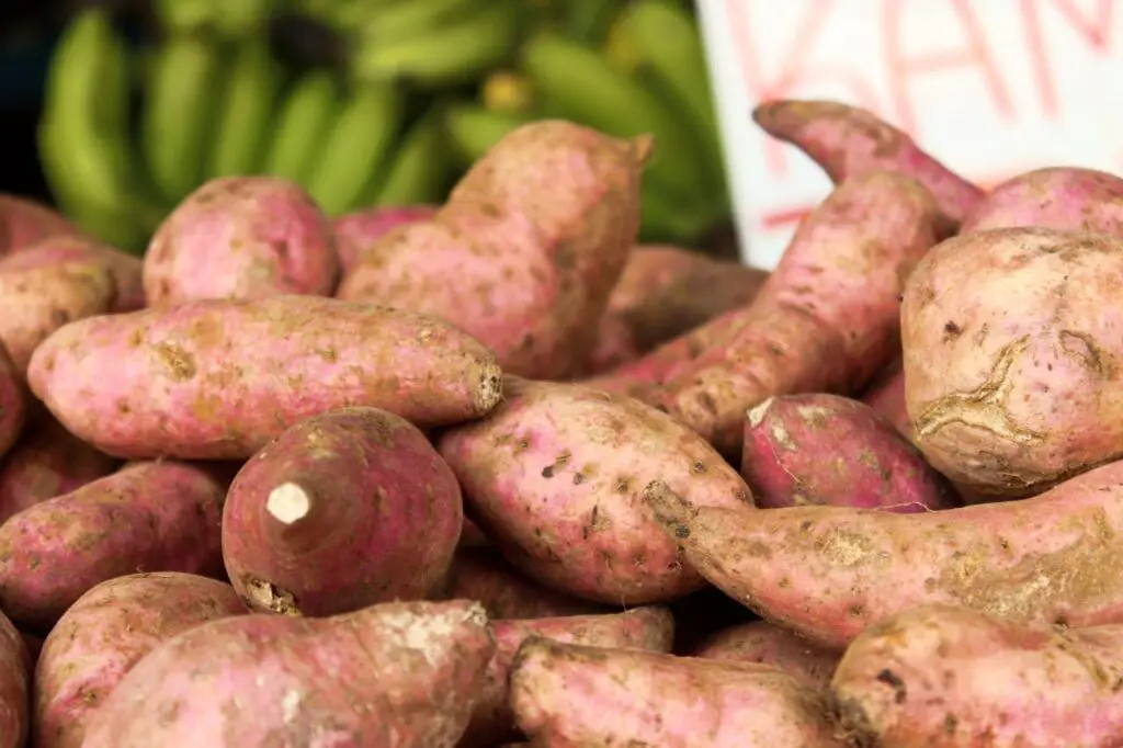 <p> Sweet potatoes are a fantastic source of beta-carotene, which converts into vitamin A in the body. Vitamin A is essential for skin cell renewal and helps prevent dryness and flakiness. This root vegetable also contains antioxidants that combat skin damage and promote a natural glow. Roast sweet potatoes for a delicious side dish, mash them for a creamy texture, or add them to soups and stews. For a tasty snack, bake sweet potato fries with a drizzle of olive oil and season with your favorite spices. </p> :: Pexels