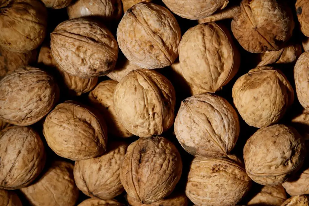 <p> Walnuts are an excellent source of omega-3 fatty acids, which help maintain the skin’s natural oil barrier and prevent dryness. They are also rich in zinc, which aids in skin healing and reduces inflammation. The vitamin E content in walnuts helps protect against UV damage and supports skin repair. Add chopped walnuts to your morning oatmeal, mix them into trail mix, or sprinkle them over salads for a satisfying crunch. You can also enjoy walnut butter as a healthy spread on whole-grain bread. </p> :: Pexels