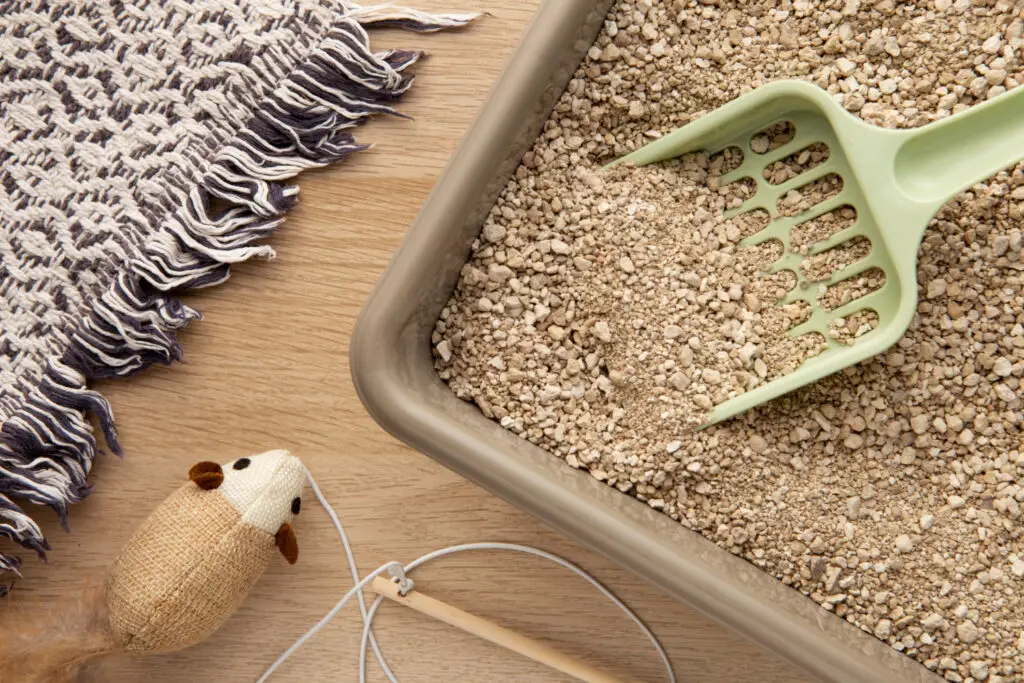 <p>Start by picking a litter box that is simple to clean and easy to reach. Senior cat owners should skip deep or covered boxes since they make scooping hard. Self-cleaning litter boxes are growing in popularity because they reduce bending and daily maintenance. Many seniors find this a worthwhile upgrade. Keeping things simple means less strain and more comfort while caring for your cat.</p> ::Freepik.com