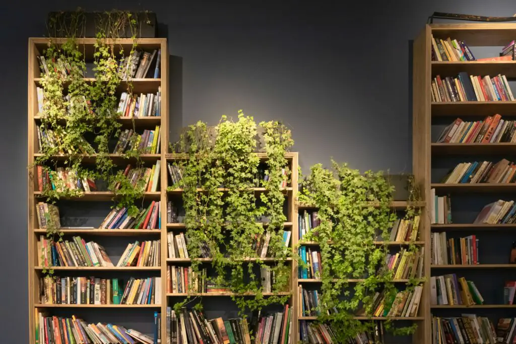 <p>Turning a bookshelf into a mini garden is a clever way to save space. It mixes books, art, and plants for a rich, layered look. Snake plants, peace lilies, and small succulents all fit well between books. Many love this setup because it makes the space feel lived-in and full of life. It’s a top pick for readers and plant lovers alike. Plus, it keeps plants at eye level where they can be admired.</p> ::Pexels