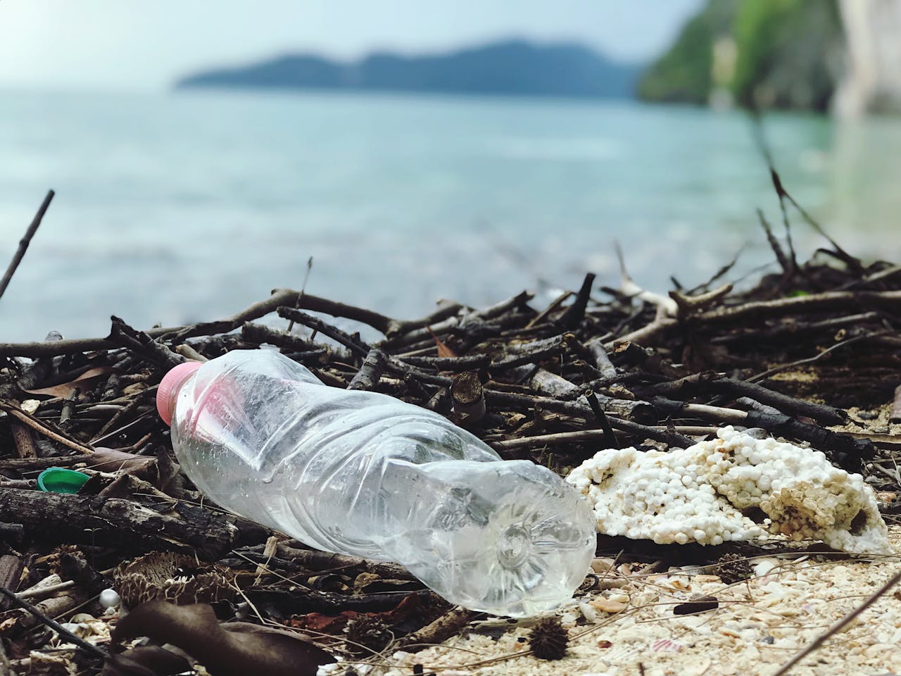 <p>Known as “Plastic Beach,” Kamilo Beach is infamous for the massive amounts of plastic debris that wash ashore. Ocean currents and the North Pacific Gyre funnel debris from across the Pacific Ocean to this location. The accumulation of plastics harms marine life through ingestion and entanglement, disrupts local ecosystems, and deters tourism, affecting the local economy.</p> ::Pexels