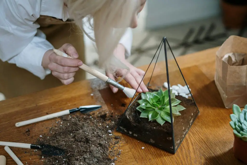<p>Hanging glass terrariums add a touch of art to your indoor garden. These clear orbs let you see every layer of soil, sand, and plant. Many people use them for air plants or succulents that don’t need much water. They look great in front of windows or clustered together in a corner. This idea is popular because it blends greenery with simple design. It’s easy to clean, stylish, and fits any home decor.</p> ::Pexels