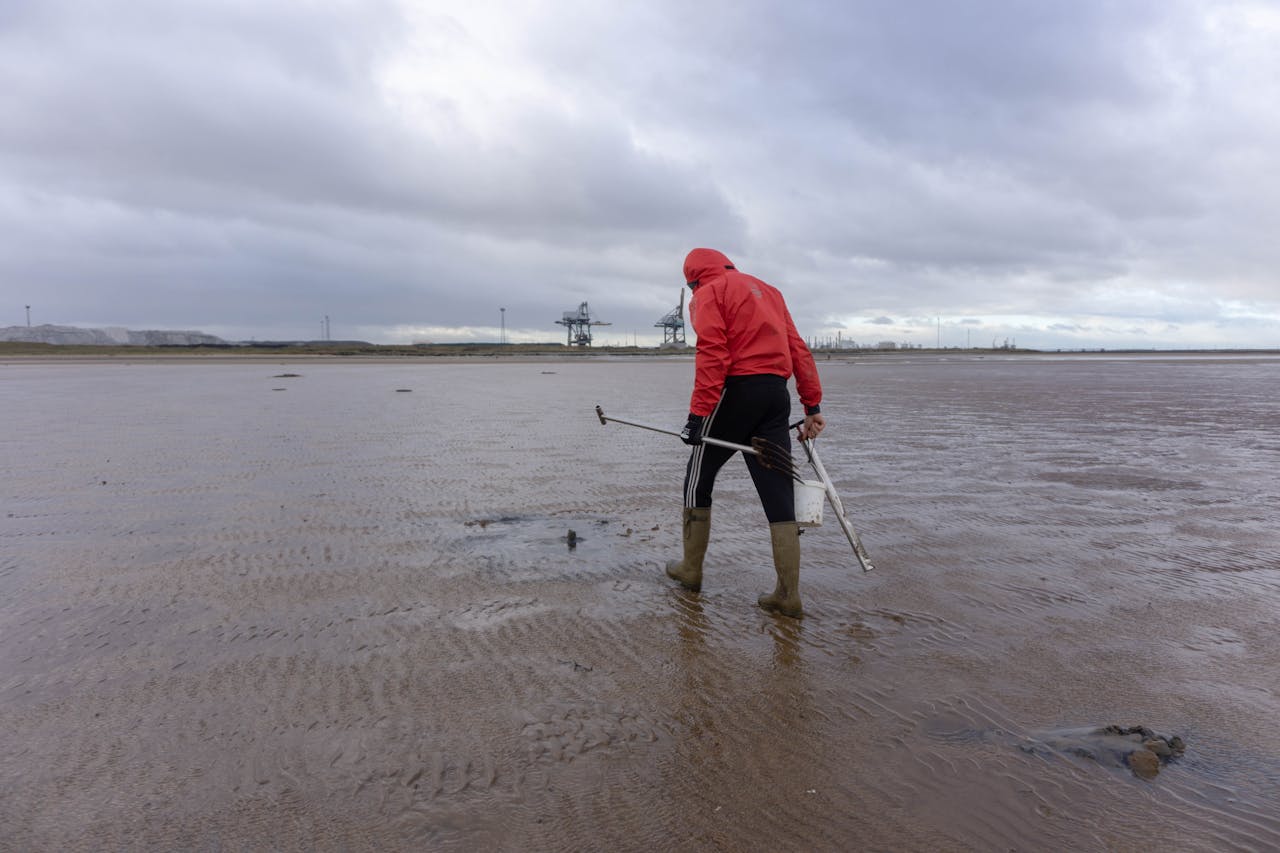 <p> Beach pollution is a pressing global issue, with numerous shorelines suffering from contamination due to human activities. This pollution not only degrades natural beauty but also poses significant threats to marine life, human health, and local economies. Here are eight of the most polluted beaches worldwide, the causes of their pollution, and the resulting impacts. </p> :: Pexels