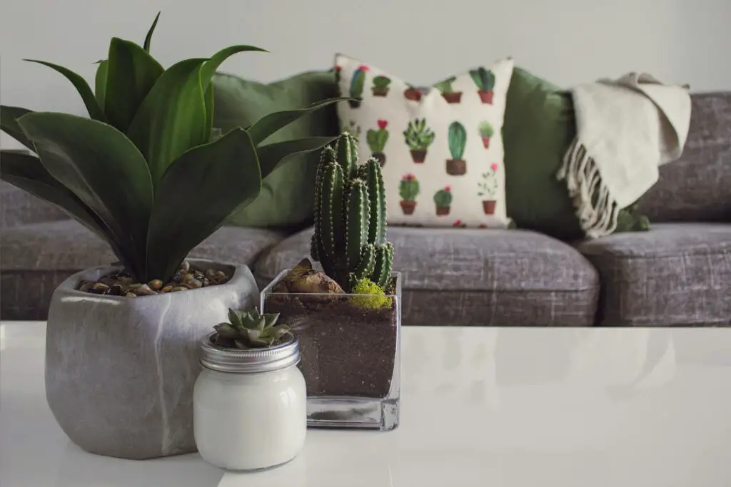 <p>There are endless ways to style your space with plants. Whether you choose a windowsill, a ladder, or hanging planters, each method adds beauty and life. These ideas are simple, easy to set up, and make any room feel fresh. The best part is that you don’t need a huge space or a big budget. With a little creativity, your indoor plants can become the best part of your home. Give these ideas a try and enjoy the calming power of greenery every day.</p> ::Pexels