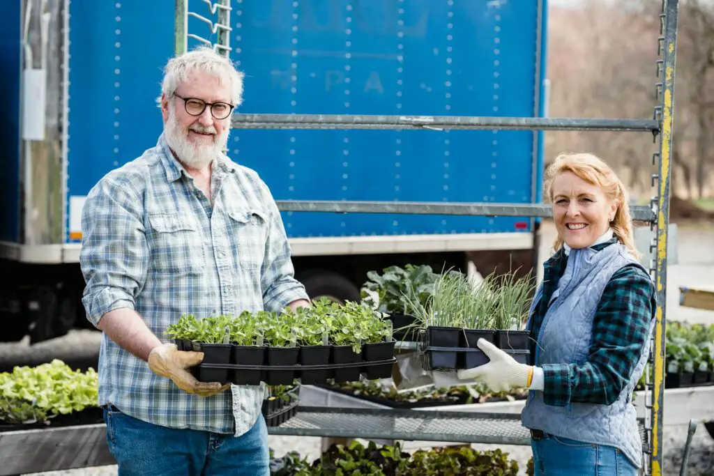 <p>Gardening is both calming and good for the brain. It teaches patience, planning, and care. Many people over 50 love spending time in the garden or learning how to grow herbs and veggies indoors. Courses in gardening cover soil types, plant care, and seasonal planting tips. Taking care of plants is proven to lower stress while keeping the mind focused. This hobby has become even more popular as people seek ways to connect with nature and eat healthier.</p> ::Pexels