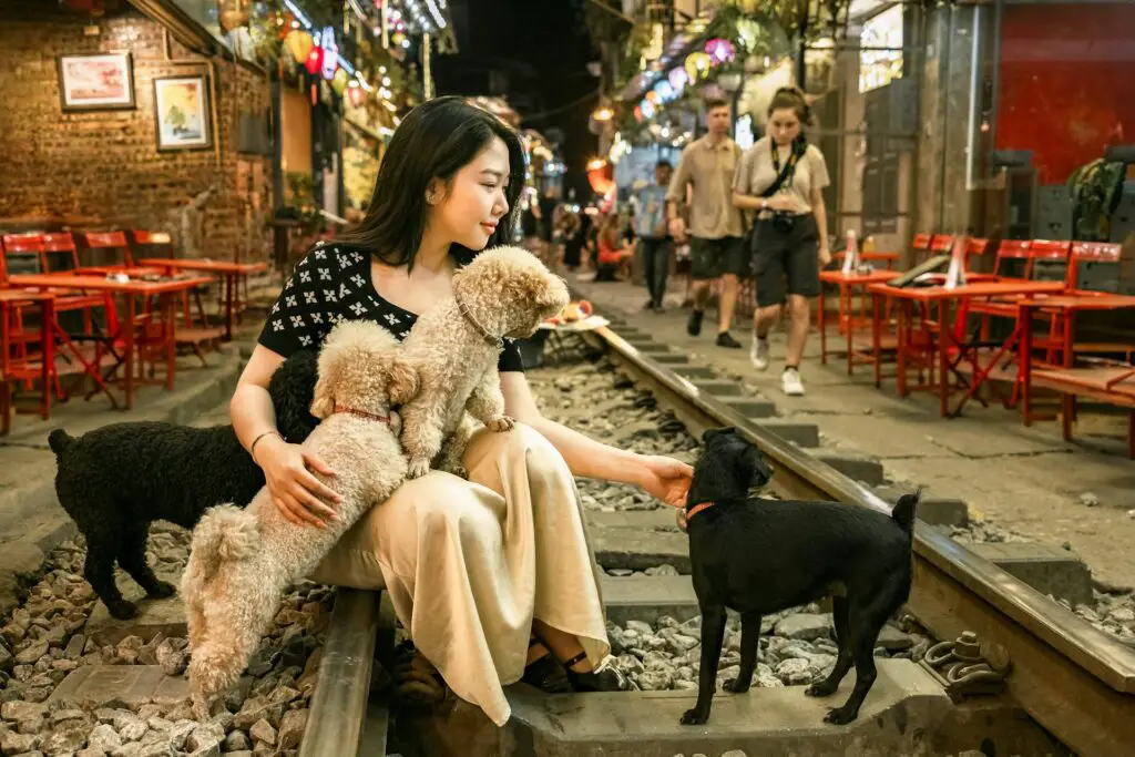 <p>Not all hotels allow pets, so check ahead before booking. Many hotels now welcome pets, but some have rules or extra fees. Look for places with pet-friendly perks like walking areas or pet beds. Some rentals even offer fenced yards, making it easier for your pet to enjoy the trip too.</p> ::Pexels