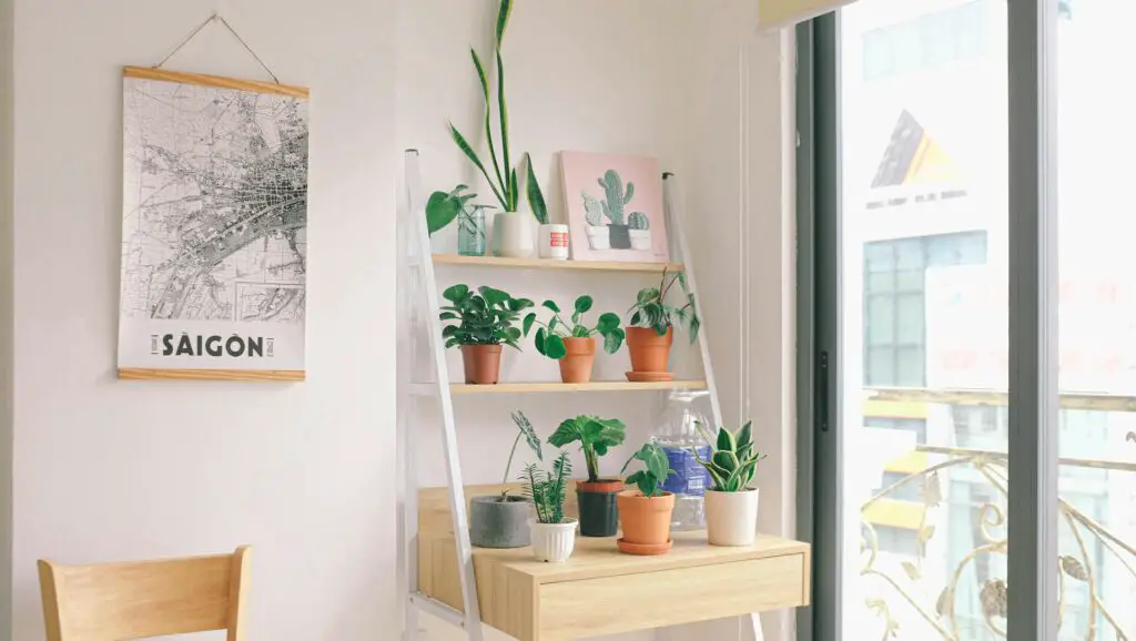 <p>Using a wooden ladder as a plant stand adds a rustic touch to any room. It’s great because it gives you layers to place plants of different heights and sizes. Herbs, succulents, and flowers all fit perfectly on the rungs. This setup turns your plant collection into a focal point. Ladders are popular because they’re easy to find and work well in corners. It’s a creative idea that keeps plants neat and easy to care for.</p> ::Pexels