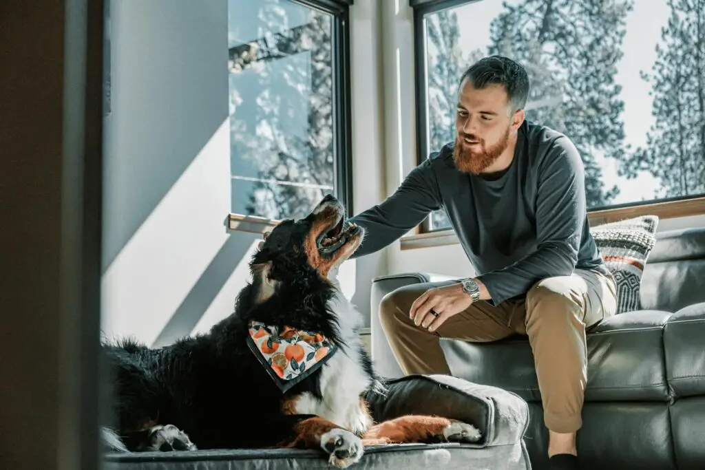 <p>Pets bring joy, love, and laughter to our lives. But a strong bond does not happen by chance. It takes time, effort, and shared moments. Whether you have a playful dog, a curious cat, or a small pet like a rabbit, spending quality time together will deepen your connection. Here are seven fun ways to create lasting memories with your furry friend.</p> ::Pexels