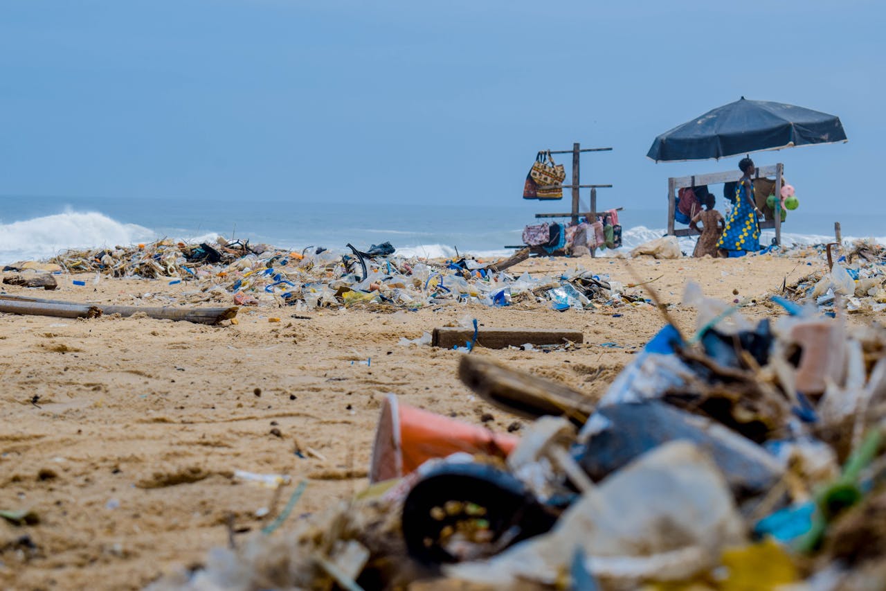 <p>Blackpool Beach has experienced pollution from sewage overflows and industrial waste. While efforts have been made to improve water quality, challenges persist. Pollution impacts local wildlife, poses health risks to visitors, and affects the town’s reputation as a seaside resort.</p> ::Pexels
