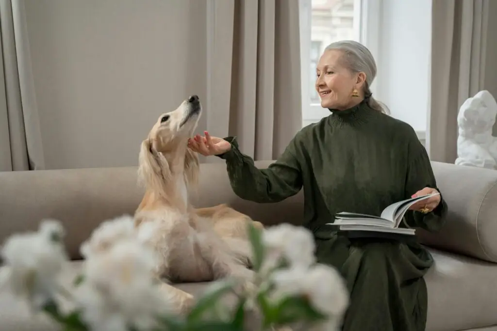 <p>Stress can send your heart racing. Pets help slow it down. Studies show that petting a dog or cat can lower blood pressure and heart rate within minutes. This simple act releases endorphins, the body’s natural feel-good chemicals. Dogs, in particular, encourage regular exercise, which keeps the heart strong. Even watching fish swim in a tank has been shown to have a calming effect. It’s no wonder doctors recommend pets for people dealing with hypertension or anxiety.</p> ::Pexels