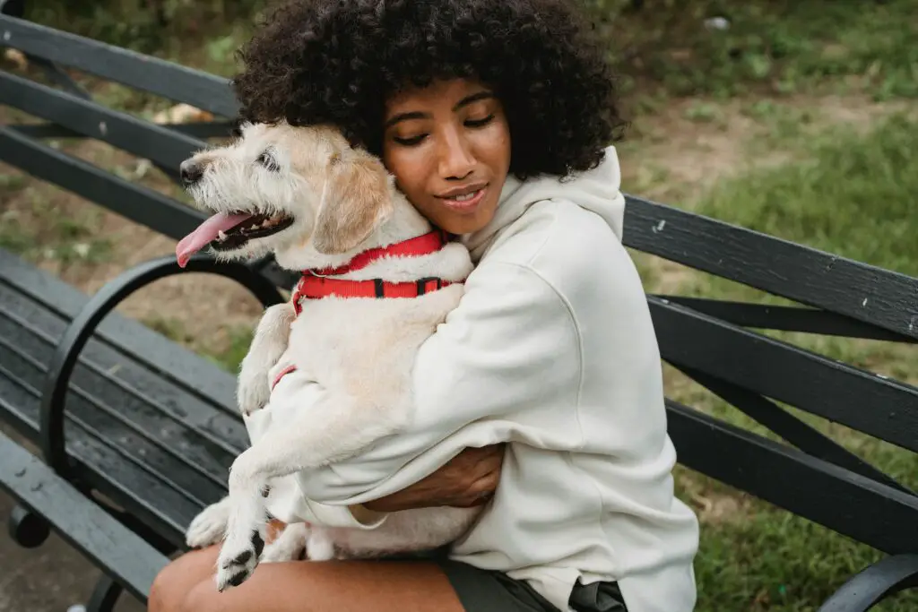 <p>Life gets busy. Stress piles up. But for those with a pet, relief is often just a wag or a purr away. Science backs it up—owning a pet does wonders for mental health. Whether it’s a dog, cat, or even a small critter, pets provide comfort, companionship, and real stress relief. Here are seven ways having a pet can help ease the weight of daily life.</p> ::Pexels