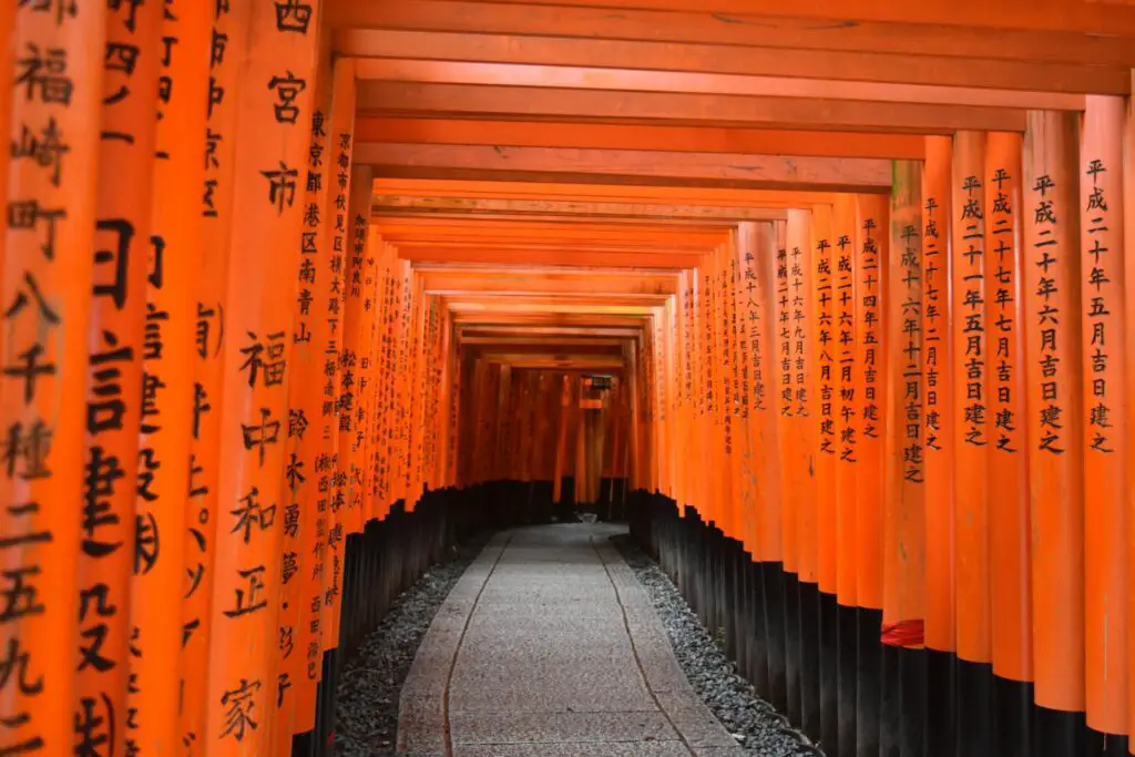 <p>Kyoto is a city that feels both calm and full of old lore. The town is known for its neat gardens, soft temples, and quiet lanes that hum with a gentle charm. Many seniors find peace in its calm parks and kind ways that let the past shine through. The simple pace and deep care in each step make Kyoto a safe choice for a lone trip. With rich tradition and warm smiles from locals, Kyoto stands as a true gem for those who seek a calm retreat.</p> ::Pexels
