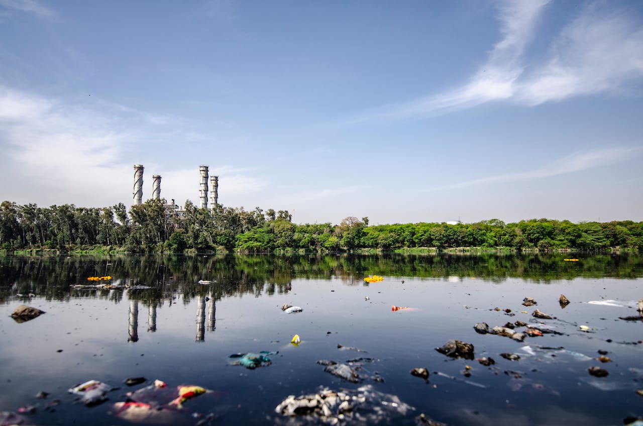 <p>Manila Bay’s beaches are polluted with plastic debris, household waste, and industrial pollutants. Contributing factors include inadequate waste disposal systems and high population density. The pollution results in health hazards for local communities, destruction of mangrove ecosystems, and declines in fish populations.</p> ::Pexels