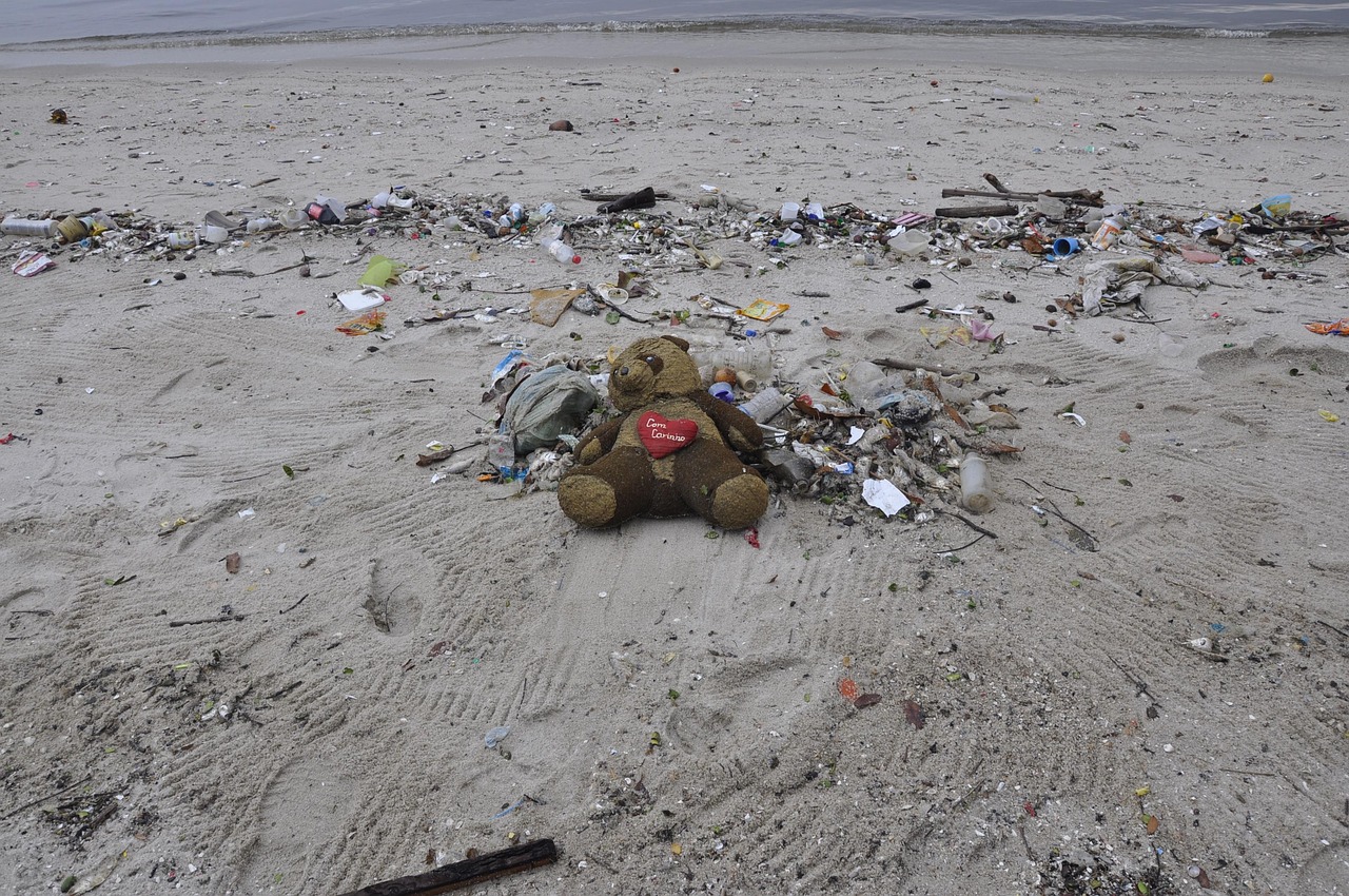<p>Beaches along Guanabara Bay suffer from heavy pollution due to untreated sewage, industrial waste, and urban runoff. The contamination leads to unsafe swimming conditions, harms marine biodiversity, and affects local fisheries, which many communities rely on for their livelihoods.</p> ::Pexels