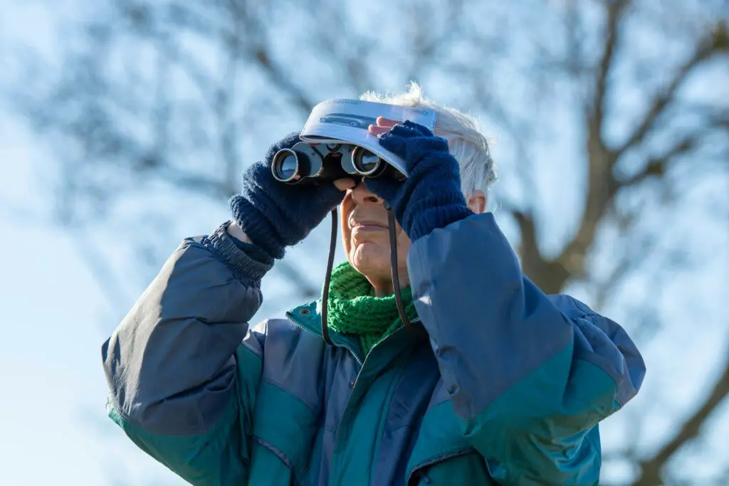 <p>Bird watching calls for a keen eye and a calm heart in the fresh air. It is done in parks, yards, or near still water, where birds fly with charm and grace. Many folks find that the sight of a bright bird can lift the mood and fill the day with hope. This hobby is a way to see the art of nature and learn of the small lives that share our world. Its soft charm and ease of use make it a well known past time that is shared by many.</p> ::Unsplash