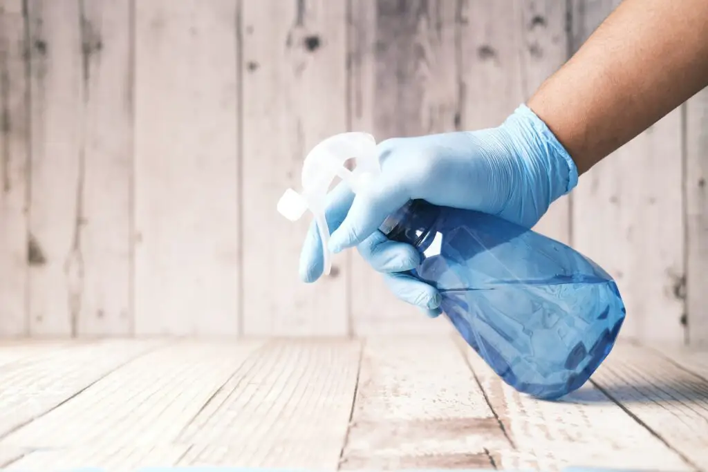<p>Try a DIY Water Jet Rinse to clear away light dirt from your cat’s coat. Fill a small spray bottle with lukewarm water and use it to mist the fur gently. This rinse is not a full bath, but it helps to remove dust and loose hair. The light spray makes the coat lie flat and brings out its natural shine. It is a low-cost method that uses water and a simple tool. This hack is odd but safe and easy to do on a calm day. It can help your pet feel fresh and look neat in just a few quick steps.</p> ::Unsplash