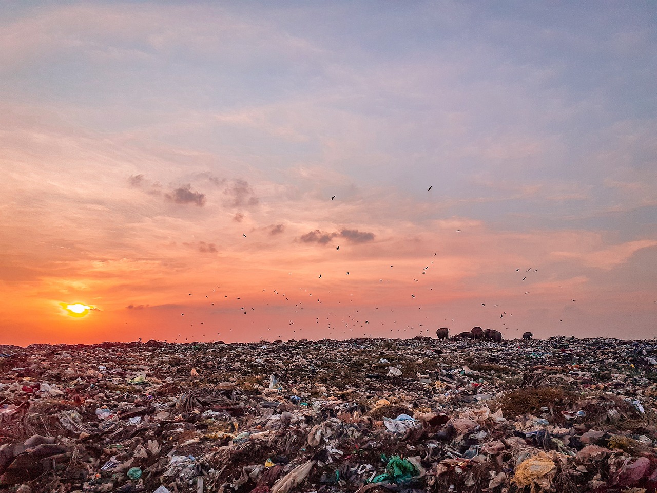 <p>In December 2024, Anapa Beach suffered a massive oil spill when two tankers breached during a storm, releasing over 4,500 tons of low-grade fuel into the Kerch Strait. The spill polluted over 30 miles of beach, leading to a federal state of emergency and a massive cleanup involving 10,000 people. The contamination severely affected local wildlife and disrupted the tourism industry, prompting the resort town to sue the responsible shipping companies for cleanup costs. ​</p> ::Pexels