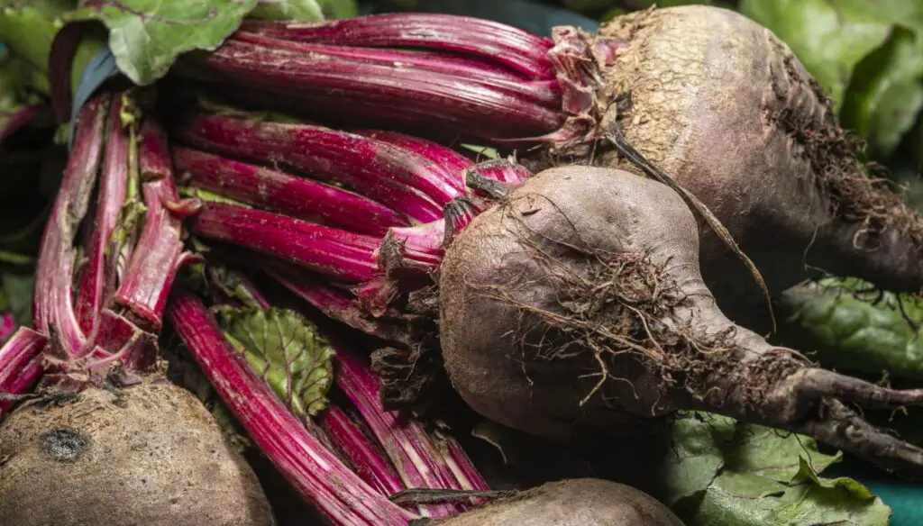 <p> Beets are packed with essential nutrients, including folate, manganese, potassium, and vitamin C. They are one of the best sources of dietary nitrates, which are converted into nitric oxide in the body—a compound that improves blood flow and helps lower blood pressure. This makes beets especially popular among athletes and those with cardiovascular concerns. They also contain betalains, which are pigments that have antioxidant and anti-inflammatory properties. Beets support liver detoxification and are known to improve endurance and cognitive function. They can be eaten raw in salads, juiced, roasted, or even used in baking. Adding beets to your diet a few times per week, or even daily, is a smart move for long-term health. </p> :: Pexels