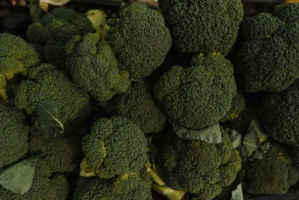 <p> Broccoli is a cruciferous vegetable praised for its impressive nutritional profile. It’s high in vitamins C and K, folate, fiber, and potassium. Broccoli is especially known for containing sulforaphane, a sulfur-rich compound that has been shown in research to have strong anti-cancer properties. It also contains compounds that support detoxification, improve digestion, and reduce inflammation. Broccoli helps lower cholesterol, supports healthy blood vessels, and contributes to immune defense. Steamed, roasted, stir-fried, or even raw, broccoli fits seamlessly into a wide variety of dishes. Nutritionists often recommend including at least a half cup of broccoli daily for its many protective benefits. </p> :: Pexels
