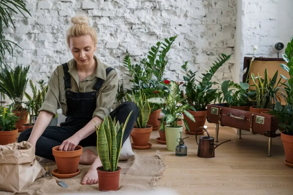 <p> One of the most beloved hacks for millennials is starting a garden and growing their own food. Not only does this hobby provide a sense of accomplishment, but it also allows for a more sustainable lifestyle. With concerns over food security and climate change, many millennials are taking matters into their own hands by planting herbs, vegetables, and fruits in their backyards or even on apartment balconies. Gardening offers countless benefits, such as reducing food waste, saving money on groceries, and fostering a deeper connection to nature. Plus, it's a therapeutic way to spend time outdoors while cultivating fresh produce for homemade meals. </p> :: Pexels