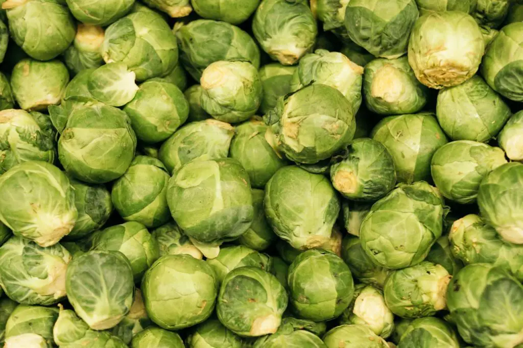 <p> Brussels sprouts, another member of the cruciferous family, are loaded with vitamins C and K, fiber, folate, and manganese. They are especially high in glucosinolates and antioxidants that help the body detoxify and reduce oxidative stress. The vitamin C content in Brussels sprouts supports a healthy immune system, while their vitamin K supports blood clotting and bone strength. Research also shows that regular consumption of Brussels sprouts can help reduce inflammation and may protect against certain types of cancer. When roasted or sautéed with a bit of olive oil and seasoning, their flavor becomes nutty and appealing, making them a great daily veggie to enjoy with meals. </p> :: Pexels