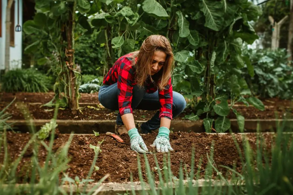 <p> Millennials are increasingly drawn to simple living hacks that allow them to disconnect from the chaos of modern life and reconnect with nature, creativity, and self-sufficiency. From gardening and minimalism to digital detoxes and sustainable fashion choices, these practices offer a refreshing escape from the hustle and bustle of everyday life. By embracing these seven simple living hacks, millennials are cultivating a lifestyle that prioritizes mindfulness, sustainability, and well-being—an approach that not only benefits the individual but also the planet. Whether it's growing your own food or crafting a cozy, minimalist home, these practices offer a path to a simpler, more fulfilling life. So, if you're looking to slow down and enjoy the present moment, why not try out one (or all!) of these hacks for yourself? </p> :: Pexels