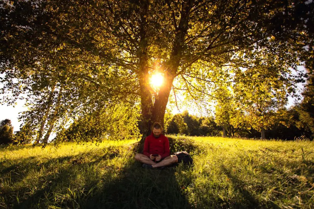 <p> In a world that demands constant attention and multitasking, mental fatigue is a common complaint. Nature offers a peaceful refuge from the distractions of modern life and provides the perfect setting for mindfulness—the practice of being fully present and engaged in the moment. Studies show that people who spend time outdoors report greater levels of mindfulness, reduced negative thought patterns, and increased emotional resilience. The Journal of Environmental Psychology reports that natural settings help the brain recover from mental fatigue and improve directed attention, which is essential for problem-solving and goal-directed behavior. Even passive engagement with nature, such as sitting quietly in a park or watching clouds pass by, can lead to noticeable improvements in focus and emotional well-being. Mindfulness has been linked to lower levels of anxiety and depression, as well as improved coping skills during periods of stress. Incorporating time in nature into your daily routine fosters a deeper sense of awareness and gratitude, grounding you in the present and restoring your mental clarity. </p> :: Pexels