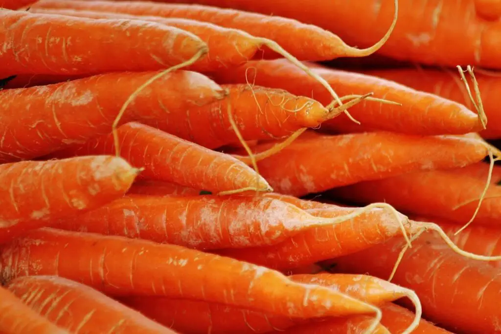 <p> Carrots are another root vegetable known for their high beta-carotene content, which the body converts into vitamin A. This nutrient supports healthy vision, immune function, and skin regeneration. In addition to vitamin A, carrots provide vitamin K1, potassium, fiber, and a variety of antioxidants including lutein and anthocyanins. Their natural crunch and slight sweetness make them an ideal raw snack, while they also work beautifully when steamed, roasted, or added to soups and stews. Nutritionists recommend eating a variety of colored carrots—not just orange—for a broader spectrum of phytonutrients. A few servings per week or even one serving per day can be a smart and simple addition to your healthy diet. </p> :: Pexels
