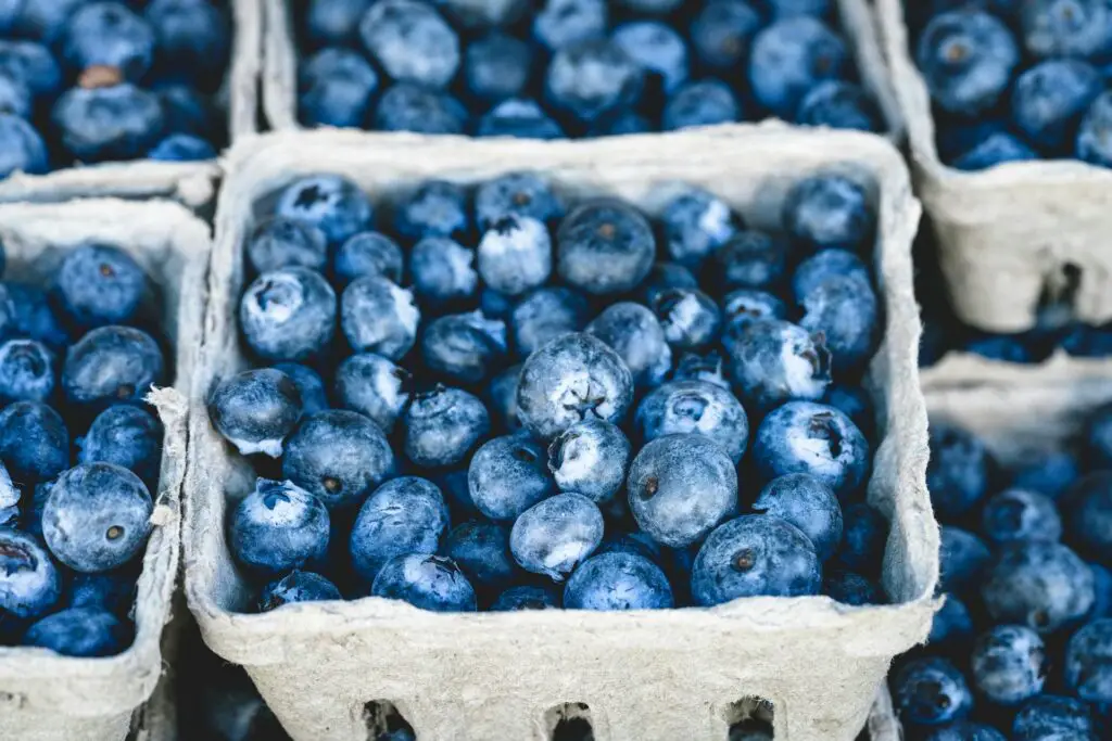 <p>These tiny berries pack a punch when it comes to health. Blueberries are full of antioxidants, which help fight cell damage and slow down aging. They also support brain health, improving memory and focus. Studies have shown that regular blueberry eaters have a lower risk of cognitive decline. A handful of these makes a perfect snack, or you can toss them into yogurt or smoothies. Fun fact: Native Americans called blueberries “star berries” because of their unique shape.</p> ::Pexels
