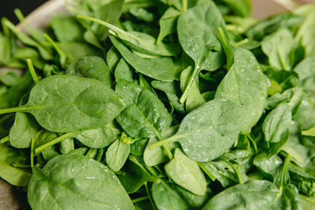 <p> Spinach is widely considered one of the most nutrient-dense leafy greens available. Just one cup of raw spinach provides nearly 56 percent of your recommended daily intake of vitamin A and over 100 percent of vitamin K. It also contains high amounts of folate, magnesium, iron, and manganese. Spinach is loaded with antioxidants such as lutein and zeaxanthin, which support eye health and may protect against age-related macular degeneration. It’s also a good source of plant-based iron, which is vital for red blood cell production. Whether you toss it into a salad, stir it into pasta, blend it into smoothies, or sauté it with garlic and olive oil, spinach is an easy addition to your daily meals with serious health benefits. </p> :: Pexels