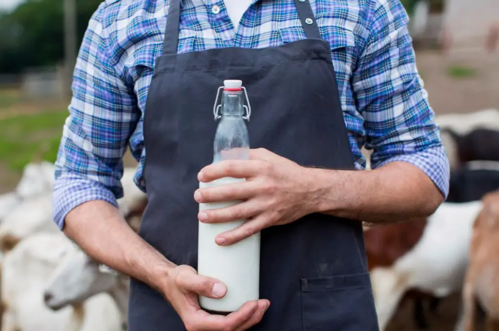 <p> The image of a milkman carrying glass bottles to your doorstep is pure nostalgia. For decades, milk delivery was a reliable, everyday part of American life. Families would leave empty bottles outside and receive fresh ones in return. As grocery stores became more common and refrigeration technology improved, the need for daily milk delivery vanished. While a few niche delivery services have made a modern comeback with organic options, the widespread practice of milk delivery is largely gone, replaced by bulk buying and plastic jugs. Its disappearance marks the end of a more personal and routine connection to local food sources. </p> :: Pexels