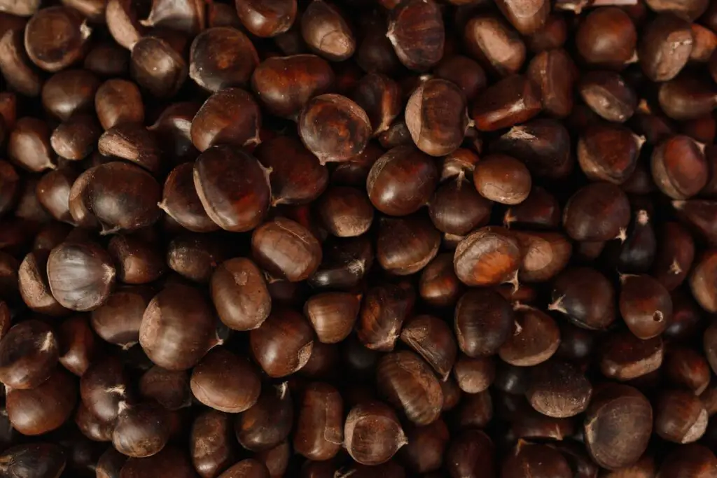 <p> Taking the crown as the healthiest nut is the often-overlooked chestnut. Unlike most nuts, chestnuts are low in fat and calories but high in complex carbohydrates and fiber, making them a unique and heart-smart option. One ounce has only about 70 calories, less than 1 gram of fat, and a surprising amount of vitamin C—rare for a nut. They are also a great source of potassium and folate. Because of their starchiness, chestnuts behave more like a whole grain than a traditional nut, offering steady energy and satiety without the heavy calorie load. Roast them, boil them, or purée them—however you enjoy them, chestnuts are a clear nutritional champion. </p> ::  Pexels