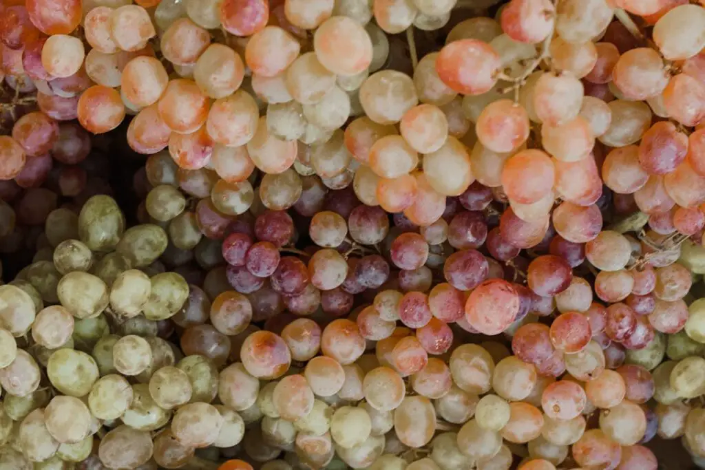 <p> Whether red, green, or black, grapes are undeniably delicious—but their small size makes them easy to overeat. Just one cup of grapes contains about 23 grams of sugar. That’s almost as much sugar as a candy bar! While grapes are packed with antioxidants and polyphenols, it’s best to enjoy them in smaller amounts. One smart strategy is to freeze grapes and savor them one at a time. The colder temperature slows down your snacking pace and helps you avoid going overboard. </p> :: Pexels