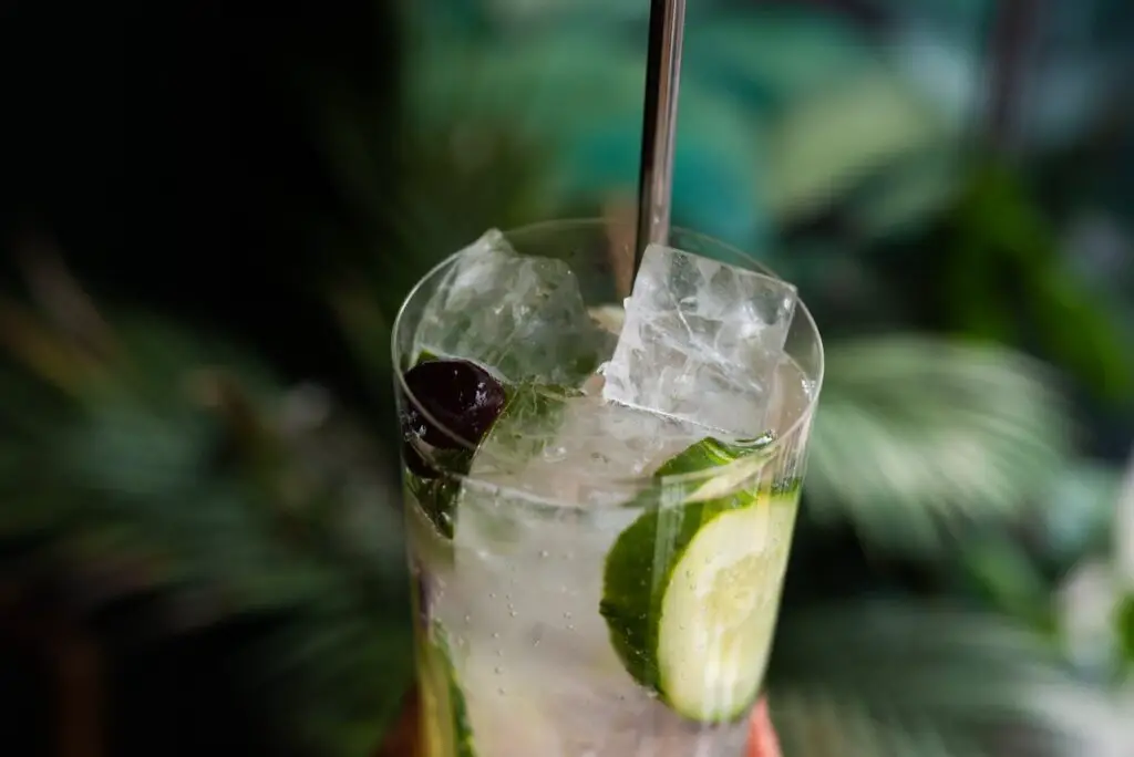 <p> If you’re looking for something ultra-refreshing and cooling, the cucumber mint cooler is your go-to drink. This crisp beverage combines the fresh, hydrating qualities of cucumber with the revitalizing flavors of mint. It’s like drinking summer in a glass. The combination of cucumber’s mild, watery texture and mint’s aromatic punch makes this drink perfect for outdoor gatherings or even a midday pick-me-up. You can easily prepare this drink by blending cucumber slices, fresh mint leaves, lime juice, and a touch of agave or honey for sweetness. Add some ice and top with sparkling water for a bubbly finish. The cucumber mint cooler is a fantastic choice if you're looking to stay hydrated while also sipping on something flavorful and vibrant. It's the kind of drink that’s perfect for a backyard BBQ, a picnic, or even a spa day at home. </p> :: Pexels
