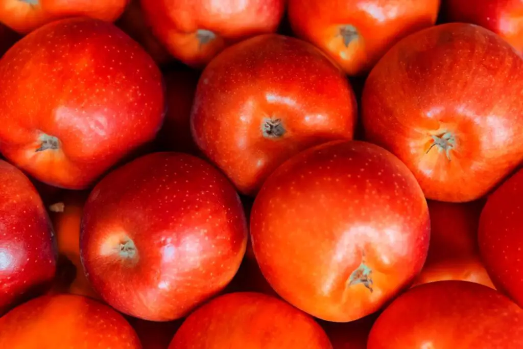 <p> You’ve heard the saying, “an apple a day keeps the doctor away,” and science backs it up. Apples are rich in fiber, particularly pectin, which helps regulate digestion and feeds beneficial gut bacteria. According to dietitians, this makes apples excellent for maintaining bowel regularity and reducing cholesterol levels. The antioxidants in apples—like quercetin and catechin—also protect against oxidative stress, which is linked to chronic diseases including heart disease and diabetes. Research shows that regular apple consumption may help lower blood pressure and improve cardiovascular health. Their low glycemic index and natural sweetness also make them a great snack for blood sugar control. Whether raw or baked, apples are a versatile remedy for digestive health and disease prevention. </p> :: Pexels