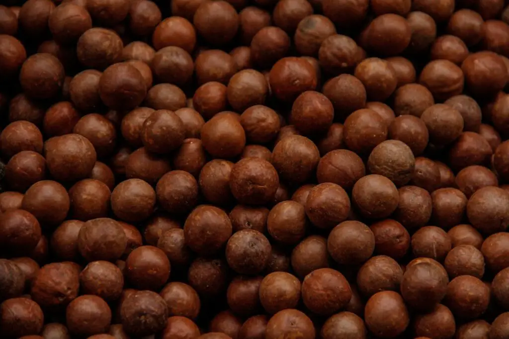 <p> Macadamia nuts may taste like buttery bites of heaven, but they rank lowest on our list due to their high fat and calorie content paired with relatively low protein. A one-ounce serving packs about 200 calories and 21 grams of mostly monounsaturated fats, the kind known for supporting heart health. However, they contain only about 2 grams of protein and minimal fiber, which makes them less satisfying and less nutritionally dense compared to other nuts. That said, they do offer small amounts of thiamine and manganese, and their rich texture makes them a luxurious treat when enjoyed in moderation.  </p> :: Pexels
