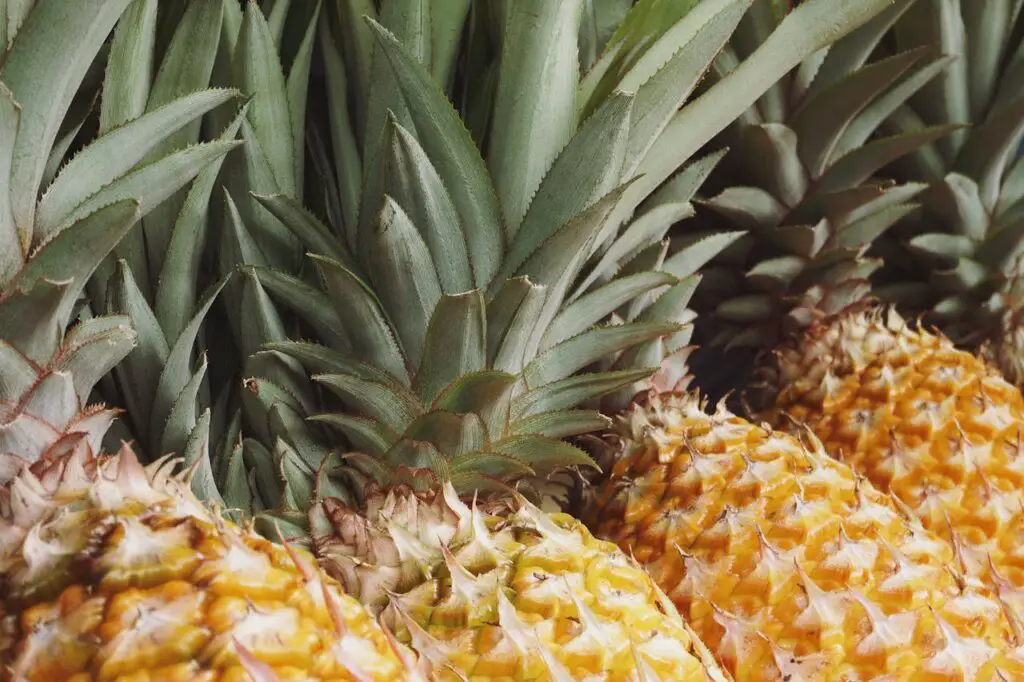 <p> This tropical treat offers much more than a sweet escape—it’s loaded with bromelain, a natural enzyme with strong anti-inflammatory properties. Pineapple can help reduce swelling, support digestion, and may even speed up recovery after surgery or injuries. It’s especially helpful for those with chronic inflammation or arthritis pain. While fresh pineapple is best, even frozen works in a pinch. Just avoid canned varieties with added sugars or syrup. Add it to your morning smoothie or enjoy it as a juicy dessert after dinner. </p> :: Pexels