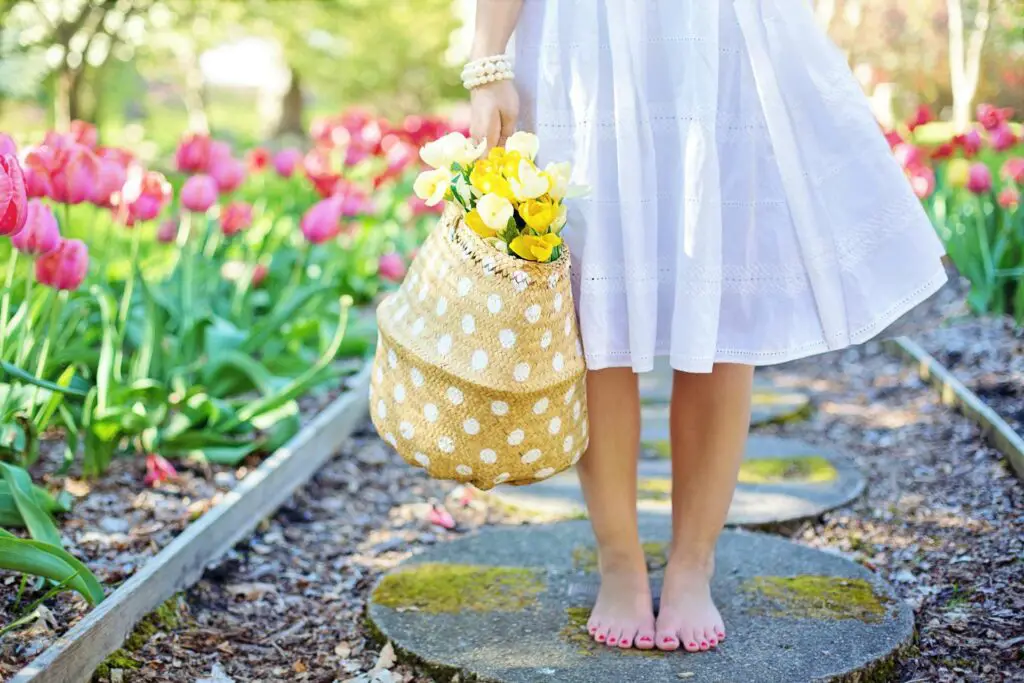 <p>Spring isn’t just a change of season—it’s a chance to shift how you live and feel. Each of these simple steps brings you closer to the outdoors and deeper into your own well-being. You don’t need to wait for the perfect day or the right mood. Just start where you are, even with one small act. The fresh air, new light, and tiny blooms are ready to meet you halfway. Your body and mind will thank you for it.</p> ::Pexels