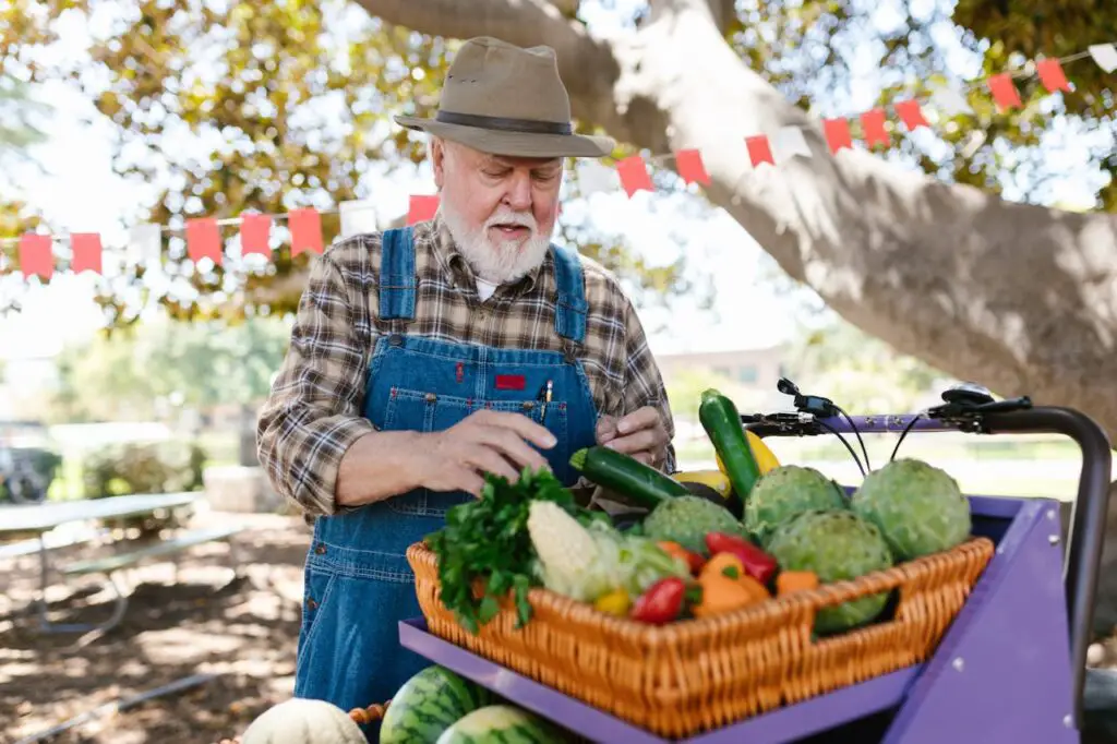 <p> CSA, or Community Supported Agriculture, is a fantastic way to support local farmers while getting a steady supply of fresh, seasonal produce delivered right to your home or a neighborhood pickup spot. When you join a CSA, you’re essentially buying a share of a local farm’s harvest at the beginning of the season. In return, you receive weekly or biweekly boxes packed with in-season veggies, fruits, herbs, and sometimes extras like eggs, flowers, or dairy products. This model gives farmers the upfront funding they need to operate and allows them to focus on sustainable practices rather than constantly seeking new markets. For you, a CSA offers a chance to eat more nutritiously, experiment with unfamiliar produce, and feel more connected to the rhythm of the growing season. Many CSA programs also include newsletters with recipes and tips, making it even easier to make the most of your weekly bounty. </p> :: Pexels